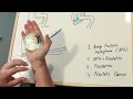 Self Prostate Massage Examination for Men over 60
