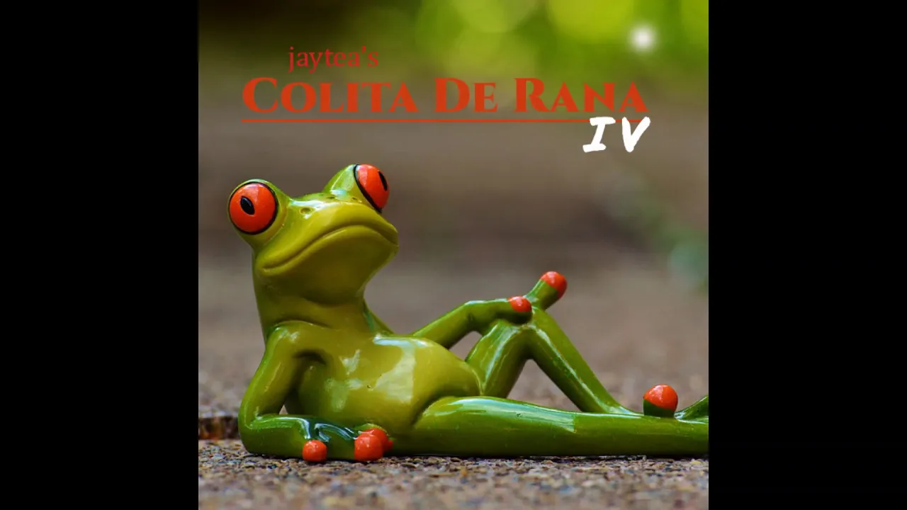 Colita De Rana Vol. 4  | Lofi House Mix