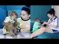 Lagu Baboon The Kid Has Really Grown Up 😅#monkeysr #funny #cute
