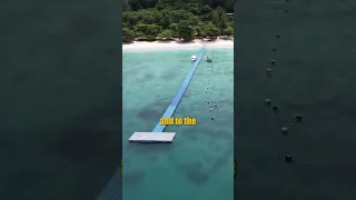 Dock wave is chasing her!