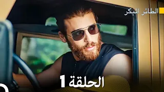 مسلسل الطائر المبكر الحلقة 1 Arabic Dubbed FULL HD  مسلسل الطائر المبكر الحلقة 1 Arabic Dubbed FULL HD