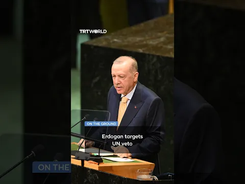 Erdogan calls for UN Security Council reform