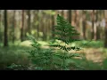 Troy Cartwright - That's Why (Acoustic Version)
