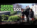 Green Roof Fundamentals Building an Epic Rooftop Garden