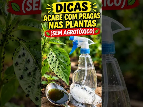 SUAS PLANTAS ESTÃO CHEIAS DE PRAGAS? 5 DICAS QUE FUNCIONAM! 🌿