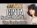 Download Lagu Cinta (Karaoke) Vina Panduwinata, nada cowok Em