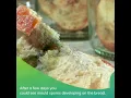 Mouldy Bread Science Experiment finale