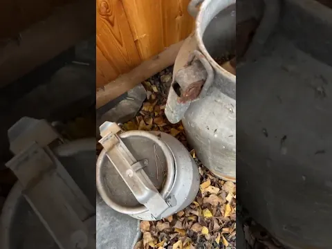 У нас сегодня субботний разбор #лисяо