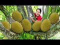 Lagu How to Hanna Harvest Jackfruit on the tree And Go to market sell | Hanna Daily Life