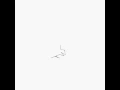 10-pendulum simulation no damping