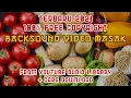 Download Lagu BACKGROUND MUSIK UNTUK VIDEO MASAK NO COPYRIGHT 9#