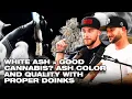 Does White Ash Mean Good Cannabis