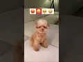 Download Lagu https://youtu.be/TmRgK-pXH9c