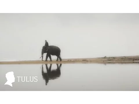 Download MP3 TULUS - Gajah (Official Music Video)