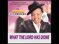 Download Lagu WHAT THE LORD HAS DONE - SIS VISION NWANKWO