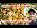 Cara Mengusir Hama Kelelawar Perusak Buah DUKU Kelengkeng Mangga Dll