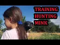 Download Lagu Recall Training Baby Mink, Rascal and Wyatt