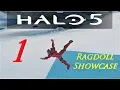 Download Lagu Halo 5 Guardians ( Ragdoll Showcase )