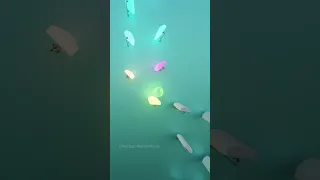 Baby Shark B1 Marble Music Marblemusic Marbleasmr 