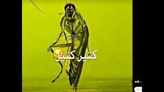 ويلي ويلي من الصراصير  ويلي ويلي من الصراصير