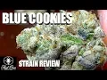 BLUE COOKIES STRAIN REVIEW