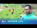 Download Lagu የአትሌቶቹ  አሻራ