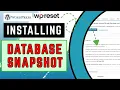 Installing WP Reset Database Snapshot