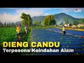 DIENG EMANG BIKIN CANDU, KEINDAHAN ALAMNYA SUNGGUH MEMPESONA