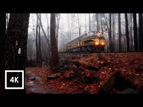 Relaxing Walk in Thunderstorm, Binaural Rain and Nature Sounds for Sleep and Study ASMR