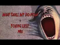 Empty Shall We Do Now Young Lust