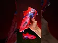 Download Lagu Flair. Control. Neymar style. ⚡ The PUMA Future 8 has dropped 🔥