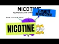 2-Minute Neuroscience Nicotine