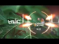 Bruno & Denner, Gustavo Lima - Cavalo De Pau (WLC)