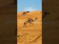 Download Lagu Surah Al Tahrim|surah #viral#quran#foryou #trending crater video