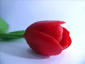 Abd El Fata7 Greny - A7la Ma Fe El Donia.wmv