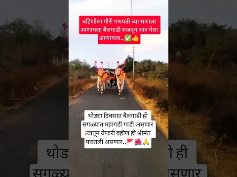 बहिणीला गौरी गणपती च्या सणाला आणायला बैलगाडी सजवून भाव गेला आणायला..🚩🌺🙏#viral#shorts#dance#motivatio