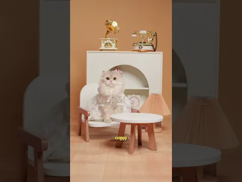 🫵🏼😾: BTS YANG KALIAN TUNGGU-TUNGGUIN WOI #funnyvideo #cat #kucinglucu #comedy #funnycats