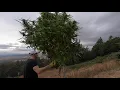 Dreamland Organics | Hemp Farm | Marijuana Music Video | Jah Cure feat Damian Marley