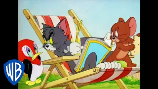 Tom Jerry Jerry And The Baby Woodpecker Classic Cartoon WB Kids 