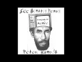 NOTHING & THEN NOTHING (TRASHMOUTH REMIX) by PETER HARRIS & LEE SCRATCH PERRY