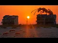 This Ant Took Me 2 Years To Find