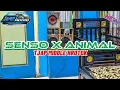 Download Lagu DJ SENSO X ANIMALS TRAP MIDDLE KRUWEK