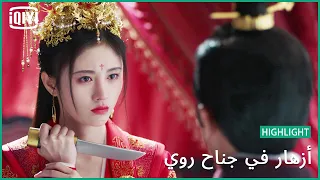 زواج بدافع الحب أزهار في جناح روي IQiyi Arabic 