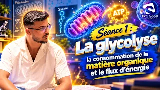 ATP : séance 1 la glycolyse  / SVTfabour