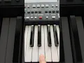 Dance Monkey Tones and I KORG PA600