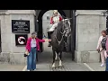 Download Lagu DONT TOUCH THE HORSE #kingsguard 