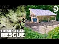Best Before After Reveals Homestead Rescue Discovery