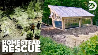 Best Before After Reveals Homestead Rescue Discovery