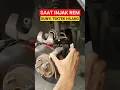 Saat Injak rem bunyi Tek Tek hilang, kenapa mas Hardi?