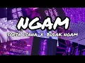 Lagu Sofia Liana - NGAM ft. Budak Ngam (Lirik)